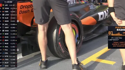 国羽强势崛起，四金入袋！陈雨菲独占鳌头，新组合惊艳夺冠，头号种子爆冷出局